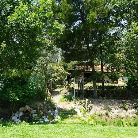 アルベルガリア・ア・ヴェーリャ Quinta Do Vale Grandeヴィラ エクステリア 写真